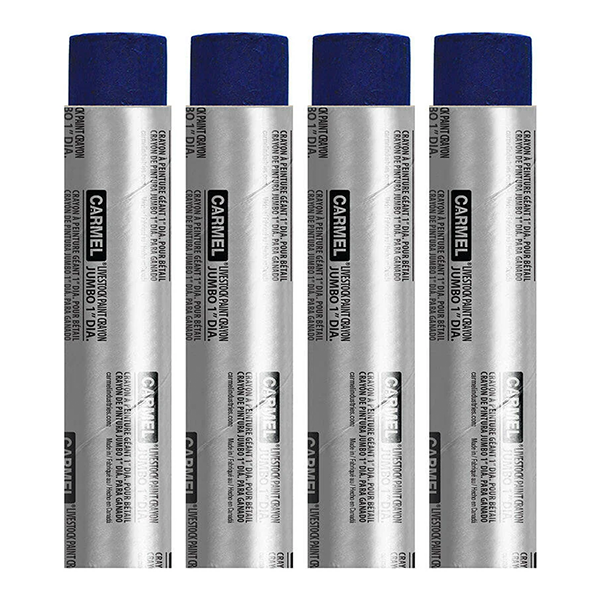 varios crayones de color azul para ganado