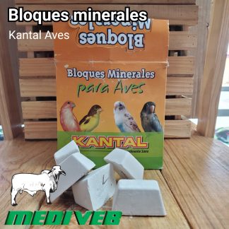 Bloques Minerales