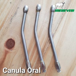 canula oral veterinaria