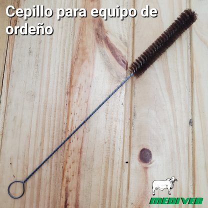 cepillo para equipos de ordeno