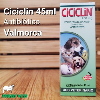 Ciciclin