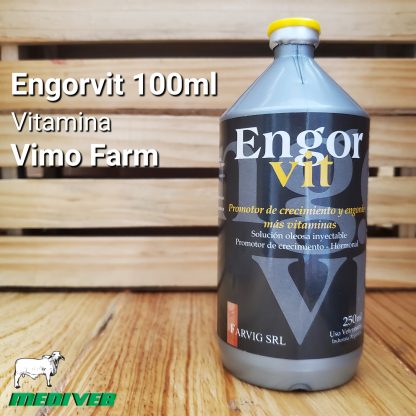 Engorvit