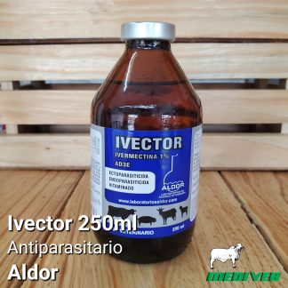Ivector