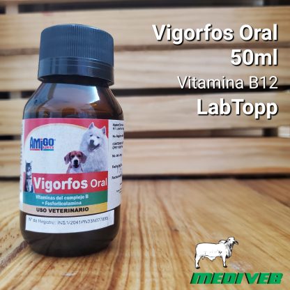 Vigorfos Oral