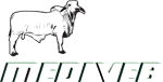 Mediveb logo