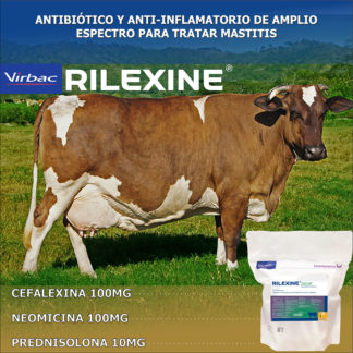 pomo antimastitico para lactancia Rilexine