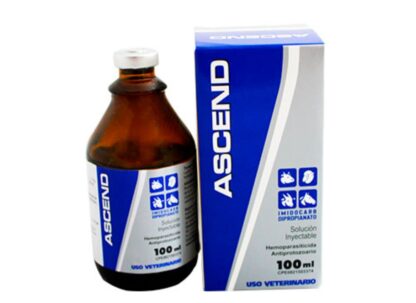 Ascend 100 ml